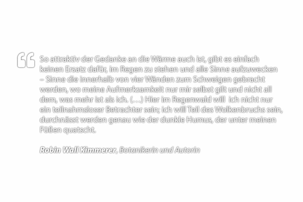 Zitat 1