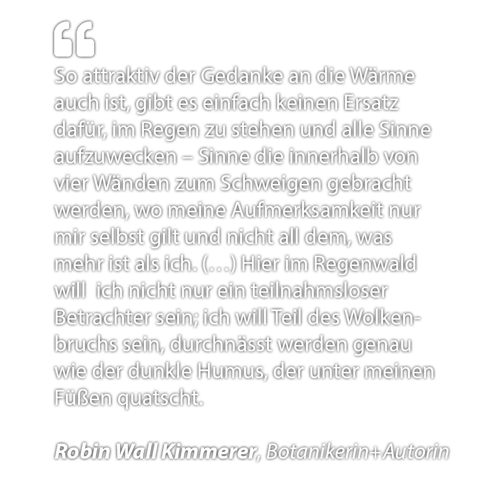 Zitat 1_Handy